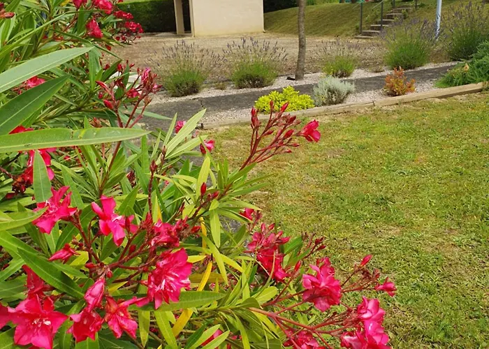 Σπίτι διακοπών De La Bordeneuve *